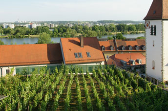 Regensburger Landwein
